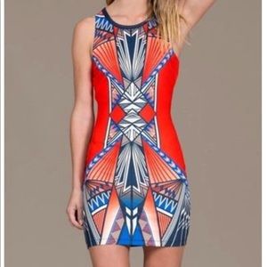 Rare Print Bodycon Dress